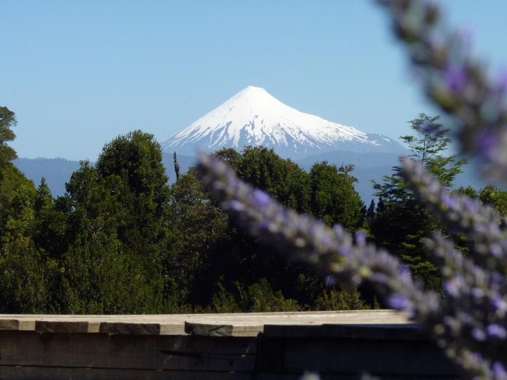 Lodge El Taique Puyehue Eksteriør billede