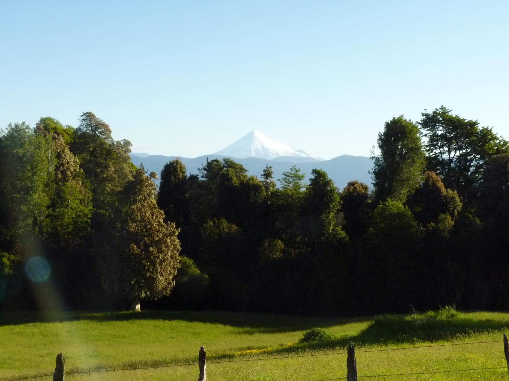 Lodge El Taique Puyehue Eksteriør billede